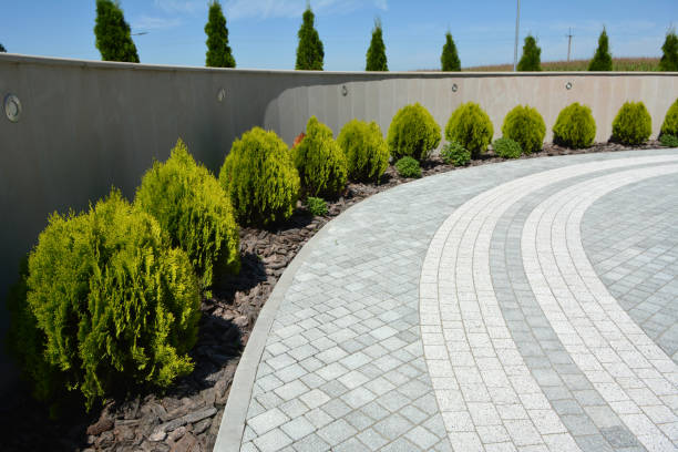 Best Brick Driveway Pavers  in Montalvin Manor, CA